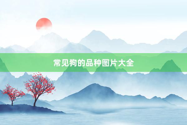 常见狗的品种图片大全